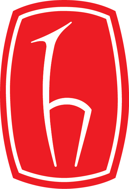Hacettepe Egyetem logó